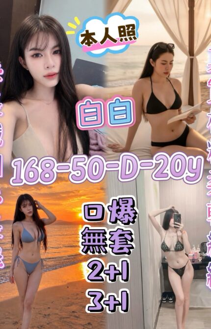 屏東定點茶-白白/168/50/20/D