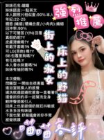嘉義定點茶-喵喵/164/48/22/D