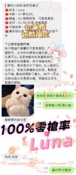 台北定點茶-Luna/154/40/21/C