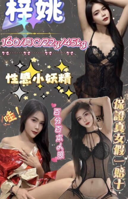 台北定點茶-梓姚/160/45/22/C