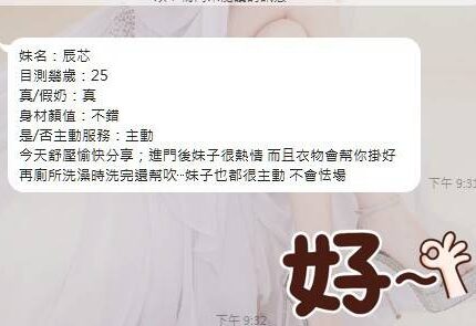 彰化定點茶-辰芯/160/45/?/C