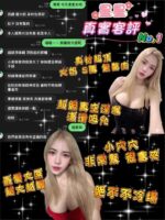 桃園定點茶-星星/160/45/23/E