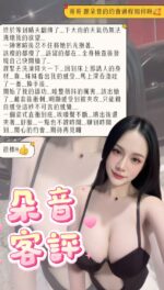 台北定點茶-朵音/160/45/22/E