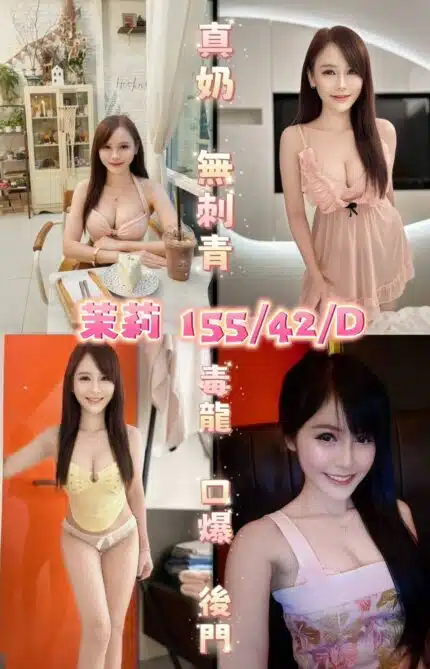 台中定點茶-茉莉/155/42/?/D