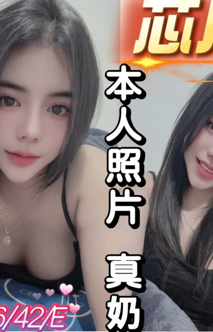 桃園定點茶-芯月/156/42/20/E