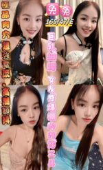 台東定點茶-兔兔/165/47/24/E