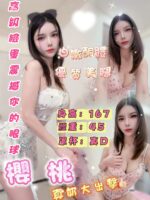 台北定點茶-櫻桃/167/45/?/D
