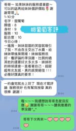 台南定點茶-甜葡萄/155/45/22/H