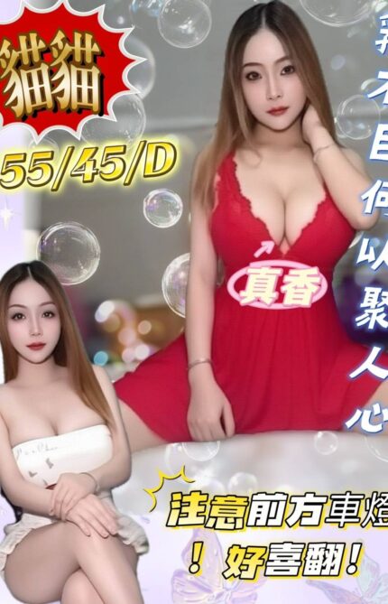 屏東定點茶,外送茶-貓貓/155/45/26/D