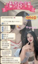 新北定點茶-潘芽/156/48/18/C