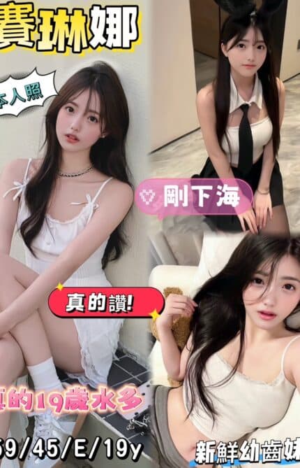 台南定點茶-賽琳娜/159/45/19/E