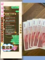 台中定點茶-靜宜/152/44/?/D