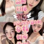 苗栗定點茶-布丁/157/48/22/D