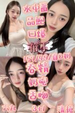 苗栗定點茶-布丁/157/48/22/D