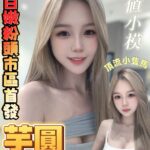 台南定點茶-芋圓/146/40/20/E