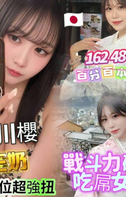 台中定點茶-白川櫻/162/48/20/E