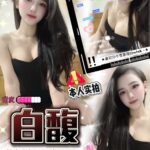 台中定點茶-白馥/160/43/?/D