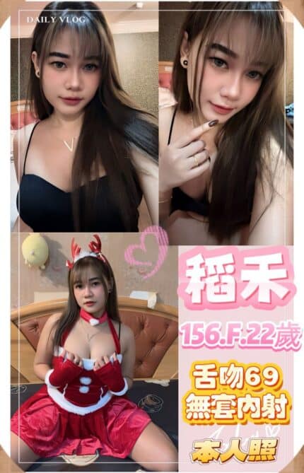新北定點茶-稻禾/156/49/22/F