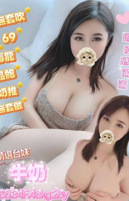 桃園定點茶-牛奶/160/48/26/F