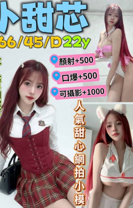 新北定點茶-小甜芯/166/45/22/D