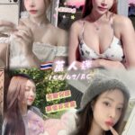 桃園定點茶-萬人迷/155/42/24/C