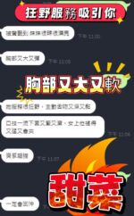 高雄定點茶-甜菜/152/45/?/D