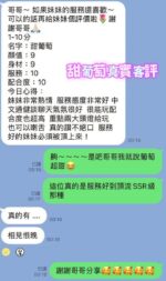 台南定點茶-甜葡萄/155/45/22/H
