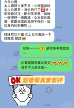 台南定點茶-甜葡萄/155/45/22/H