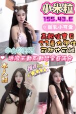 雲林定點茶-小米粒/155/43/?/E