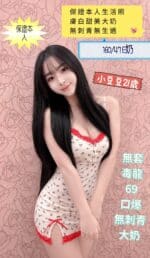 台南定點茶-小豆豆/160/47/21/E