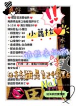 新竹定點茶-小蘿拉/160/46/20/E