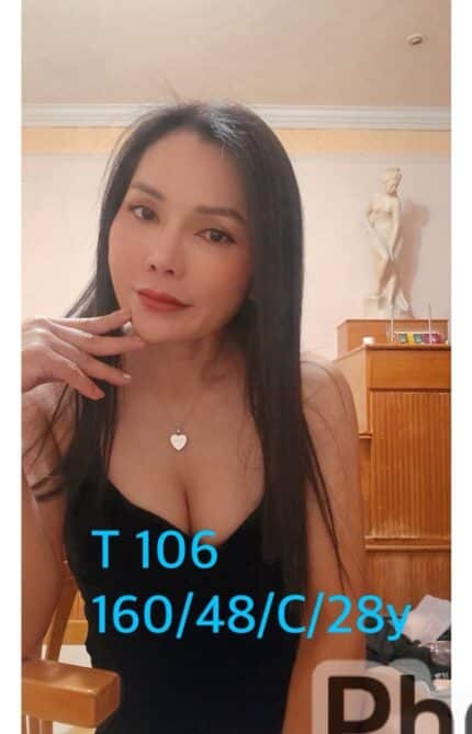 嘉義定點茶-T106/160/48/28/C