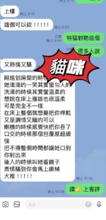 台東定點茶-貓咪/169/47/25/D