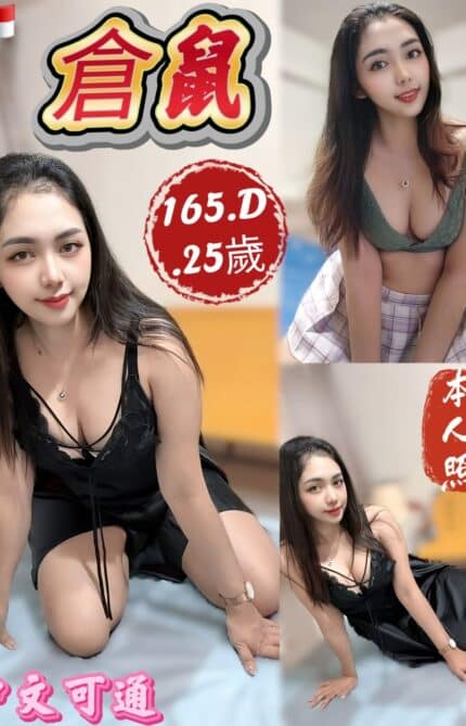 新北定點茶-倉鼠/165/48/25/D