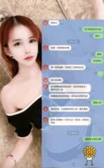 高雄定點茶-小布點/153/40/21/B