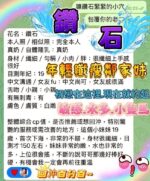 台中定點茶-鑽石/155/43/18/E