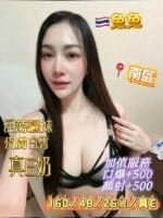 台中定點茶-兔兔/160/48/26/E
