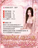 桃園定點茶-淺伊/160/43/19/D