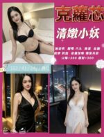 苗栗定點茶-克蘿芯/163/43/24/C
