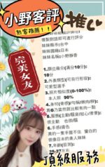 台中定點茶-小野靜香/160/45/20/G