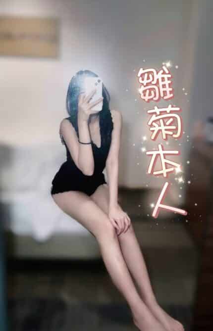 台中定點茶-雛菊/160/45/20/C