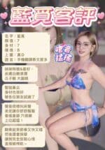 新北定點茶-藍覓/157/52/21/D