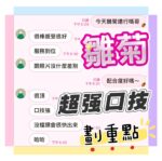 台中定點茶-雛菊/160/45/20/C
