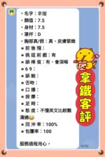 新北定點茶-拿鐵/160/45/23/D