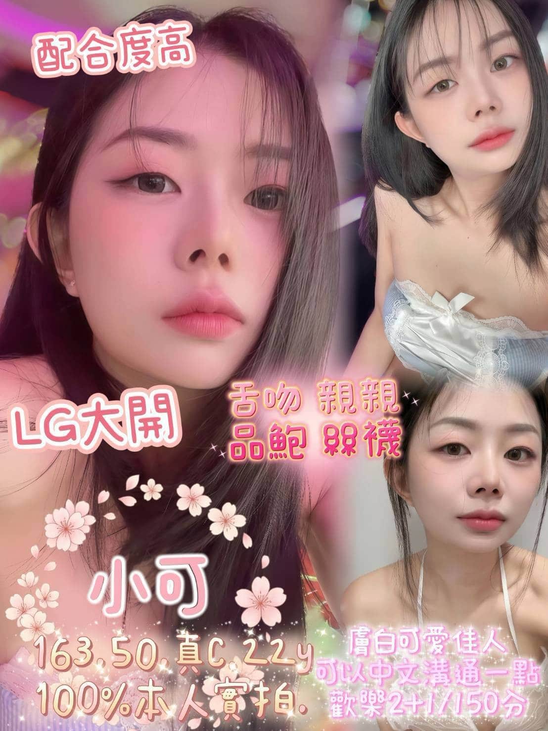 嘉義定點茶-小可/163/50/22/C 嘉義定點茶-小可/163/50/22/C