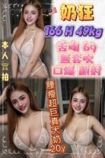 新北定點茶-奶狂/166/49/20/H