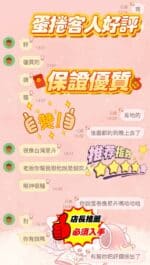 新竹定點茶-蛋捲/161/42/20/E