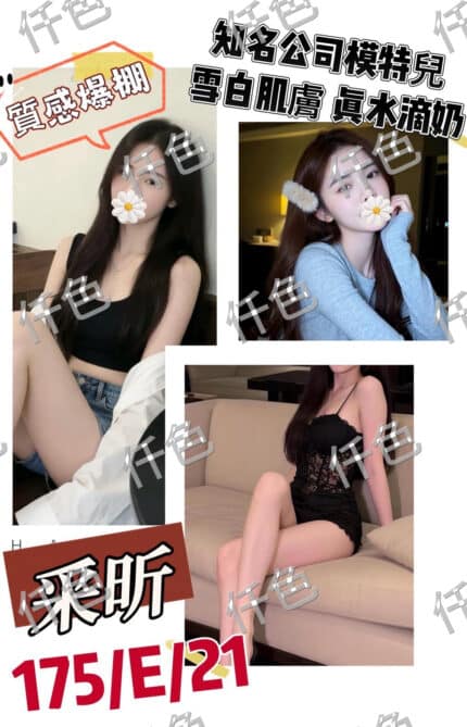 台北外送茶-采昕/155/48/31/C