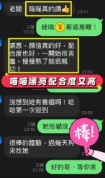台中定點茶-喵喵/157/44/?/C