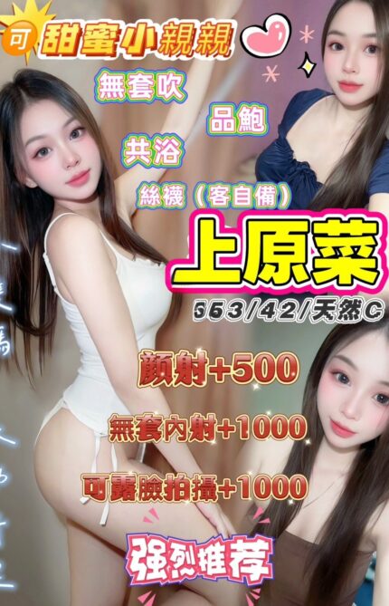 桃園定點茶-上元菜/153/42/21/C